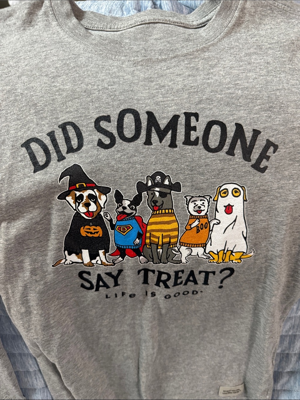 Life Is Good Gray Halloween Dogs Graphic Tee